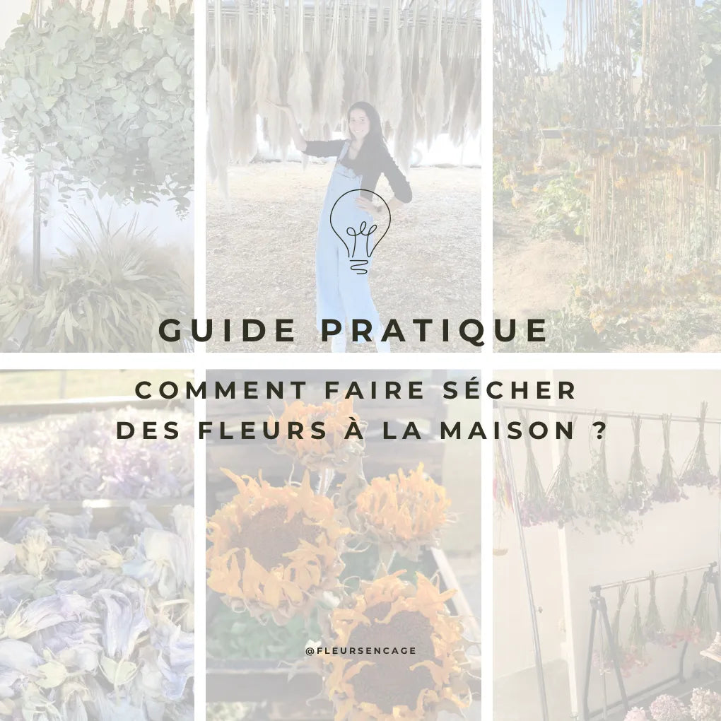 Guide pratique : Comment faire sécher des fleurs à la maison ?, Fleurs en Cage