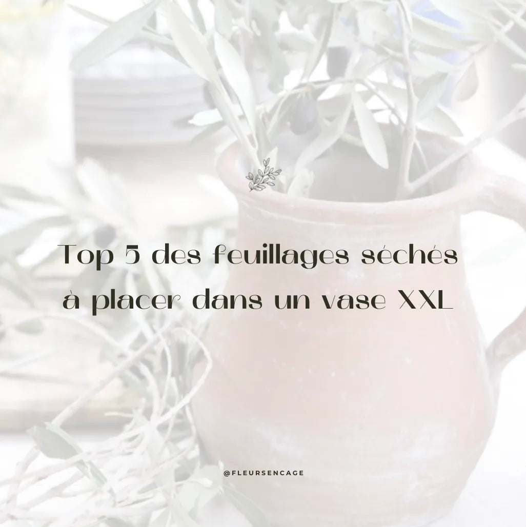 Top 5 des feuillages séchés à placer dans un vase XXL pour votre décoration d'intérieur, Fleurs en Cage