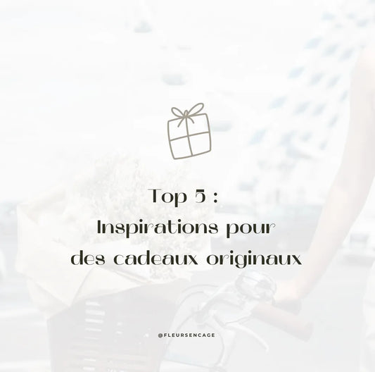 Top 5 : Inspirations pour des cadeaux originaux avec des fleurs séchées, Fleurs en Cage