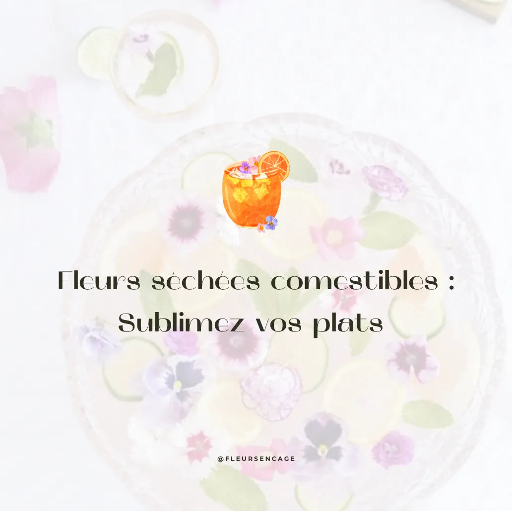 Fleurs séchées comestibles : Sublimez vos plats avec des saveurs et des couleurs uniques !, Fleurs en Cage