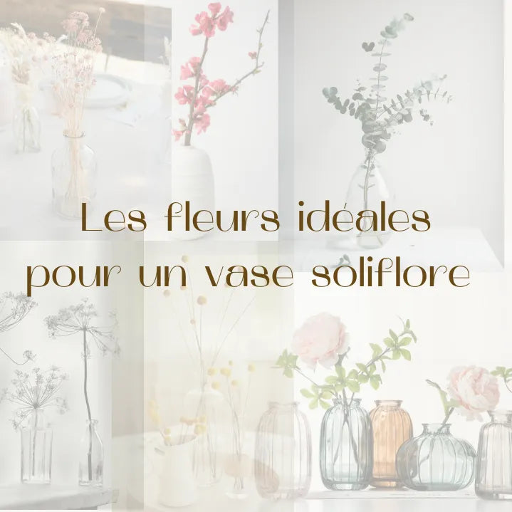 Quelles sont les fleurs séchées idéales pour un soliflore ?, Fleurs en Cage