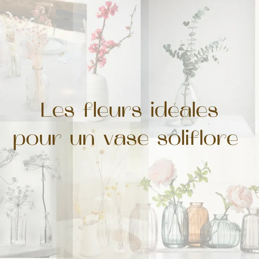 Quelles sont les fleurs séchées idéales pour un soliflore ?, Fleurs en Cage