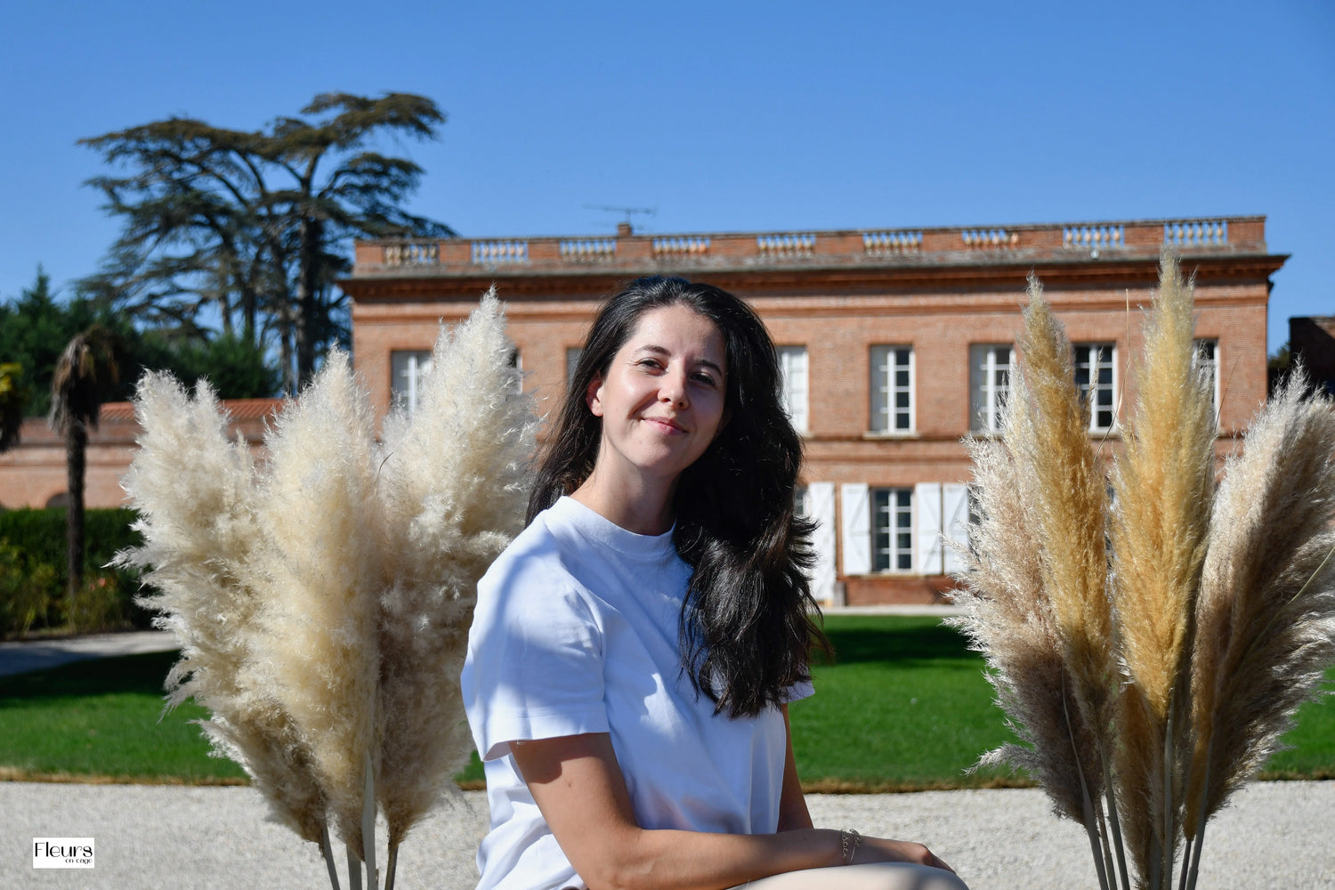 Pampas séchées, blanches et fluffy