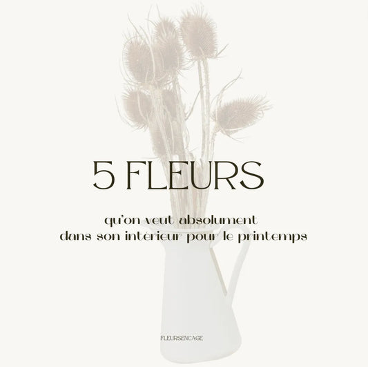 5 fleurs quon veut absolument dans son intérieur pour le printemps, Fleurs en Cage