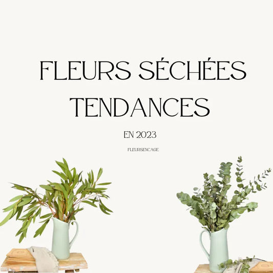 Fleurs séchées tendance en 2023, Fleurs en Cage