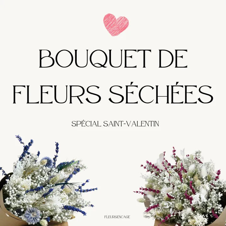 Le bouquet idéal de fleurs séchées pour la Saint-Valentin, Fleurs en Cage