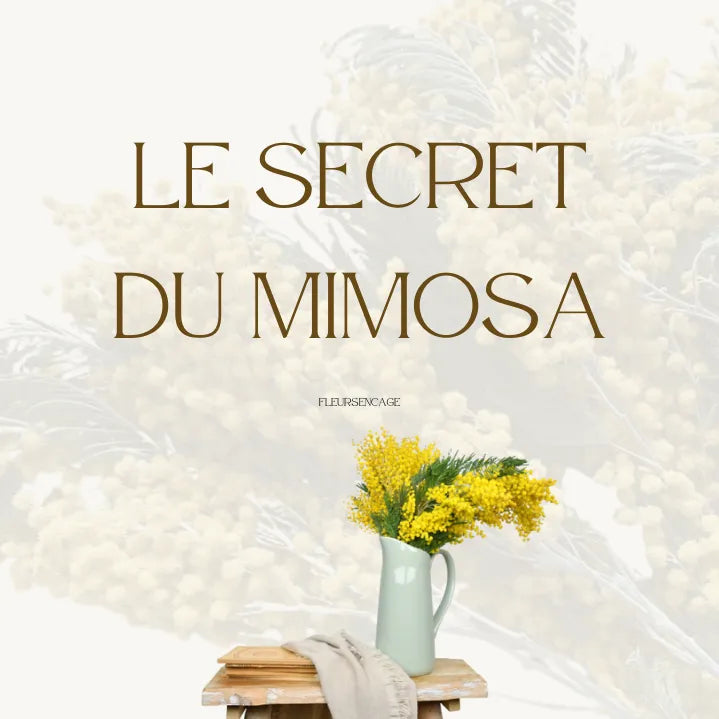 Quel est le secret de la fleur de Mimosa ?, Fleurs en Cage