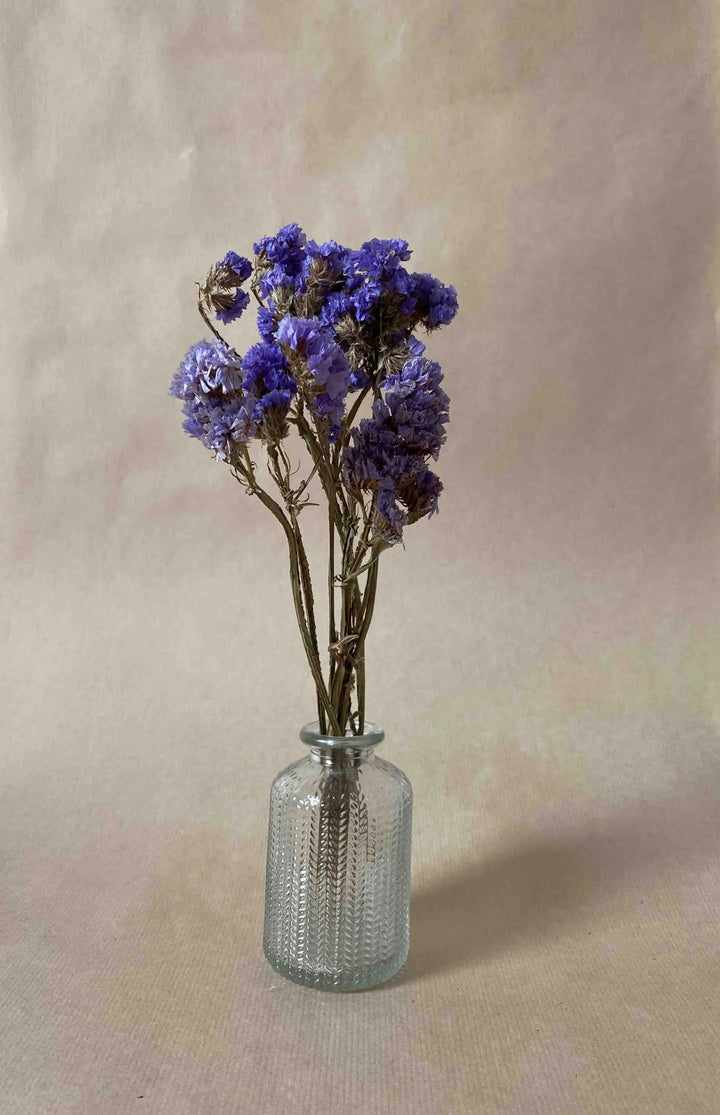 Fleurs séchées, 5 Statices violettes,