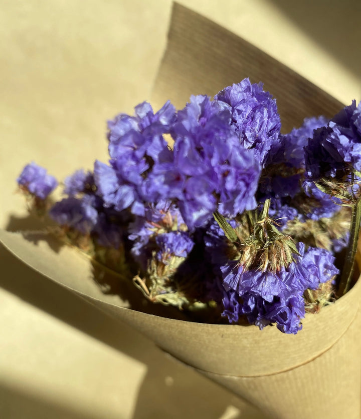 Fleurs séchées, 5 Statices violettes,