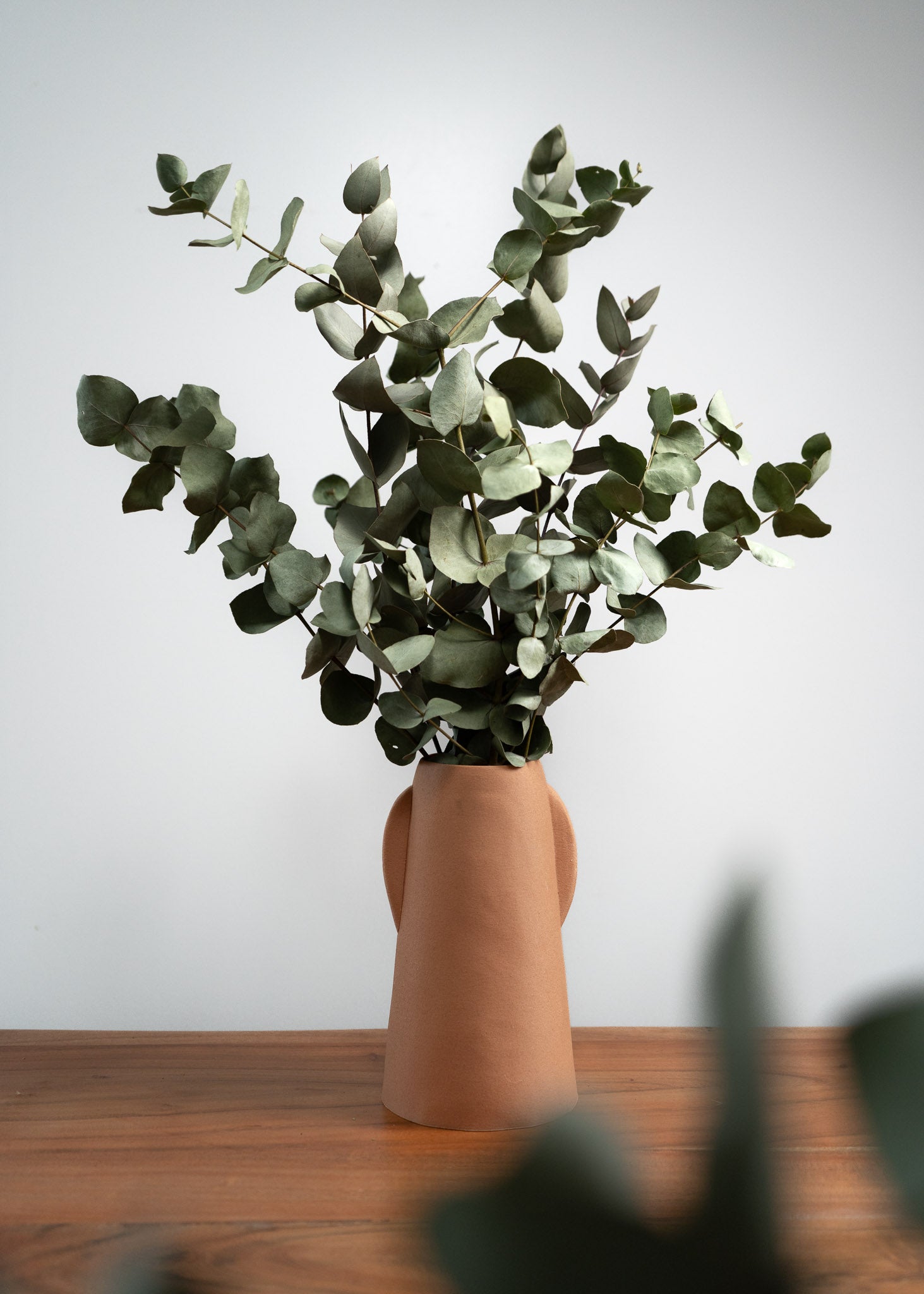 Bouquet D'eucalyptus Séché Naturel – Décoration Verte Pour Maison Et événements (43 Cm)