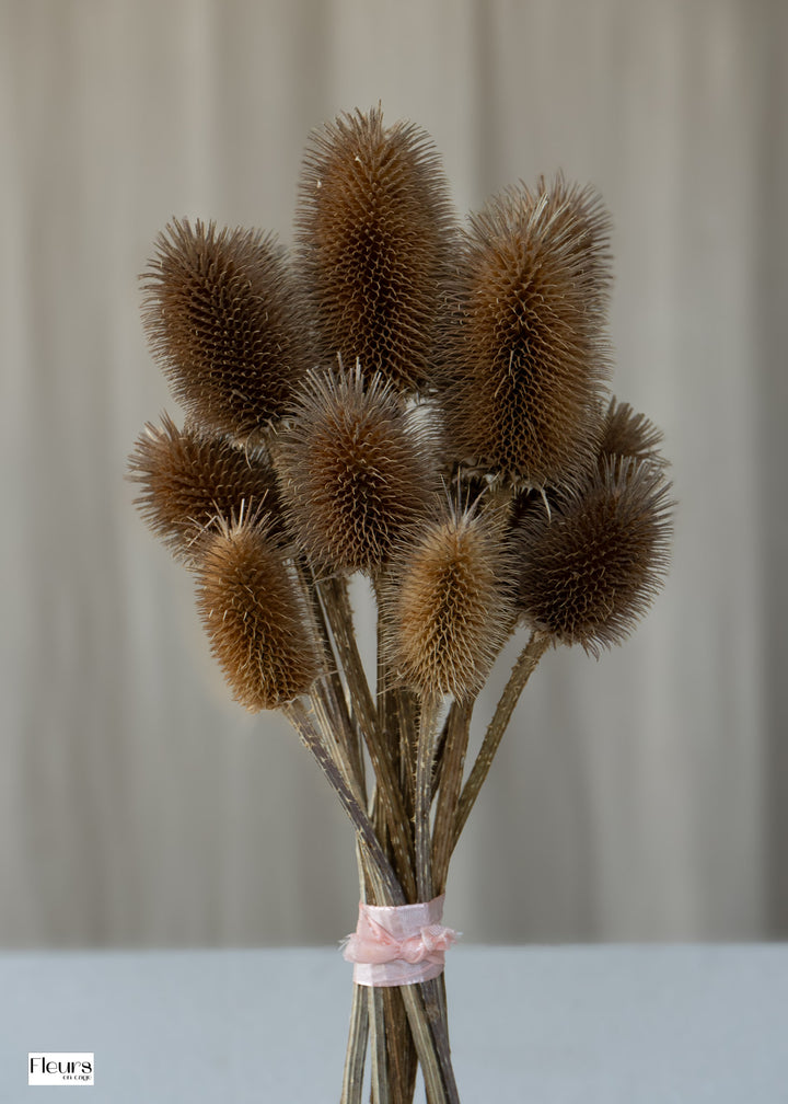 Bouquet de fleurs de chardon