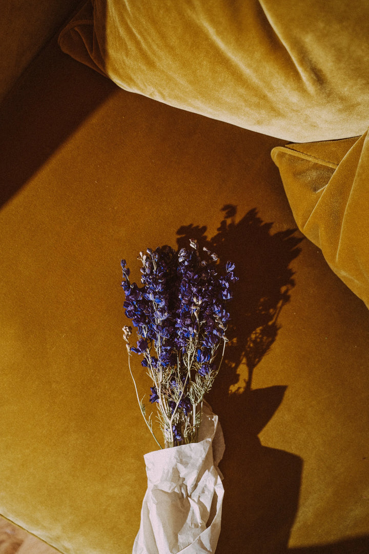 Fleurs séchées, Fleurs séchées, delphinium bleu/violet,