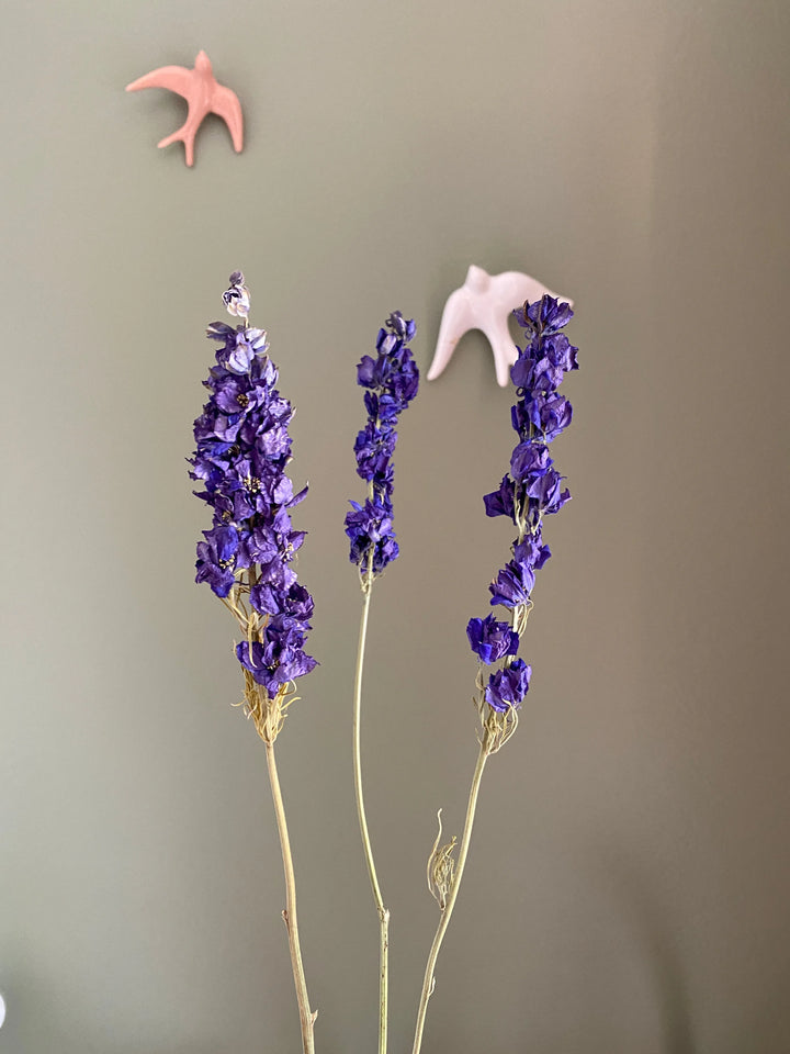 Fleurs séchées, Fleurs séchées, delphinium bleu/violet,