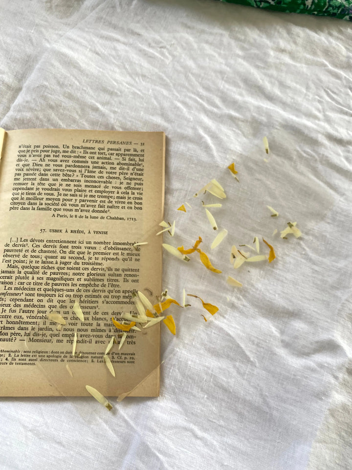 Marque-pages transparents fleurs séchées, paquet Kaluofan de 40